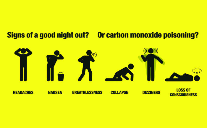 carbon monoxide poisoning experiment